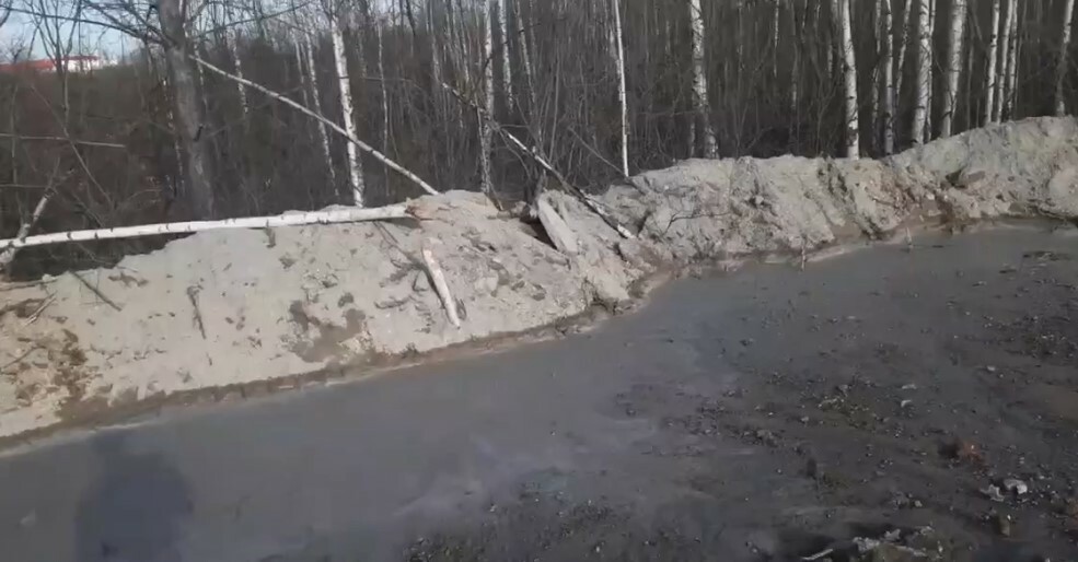 Бетонный завод в Ижевске сливает остатки бетона прямо в лес рядом с производством