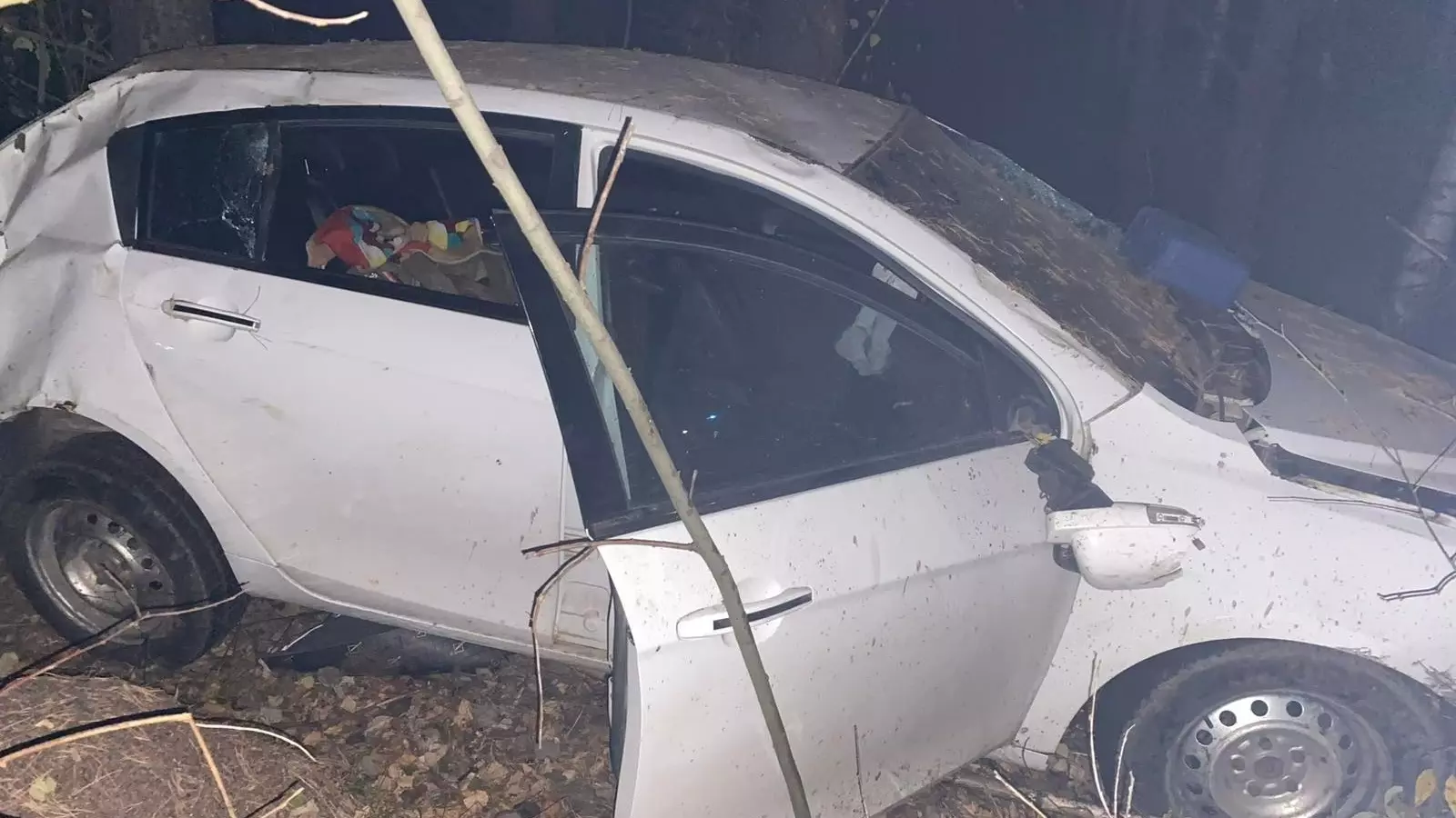 Пассажир иномарки пострадал в ночном ДТП на дороге Ува — Сюмси