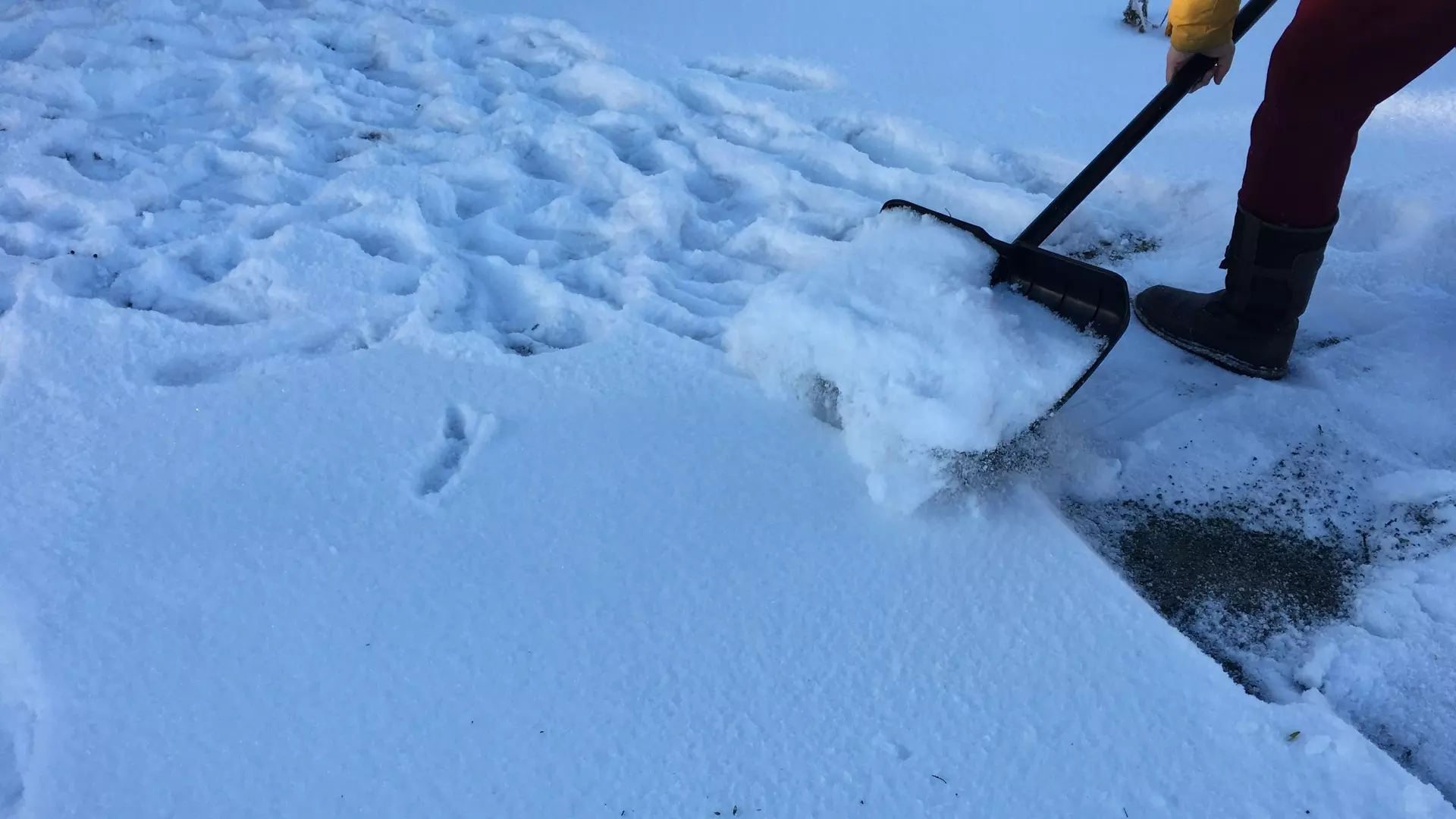 186 нарушений уборки снега во дворах выявили в Ижевске
