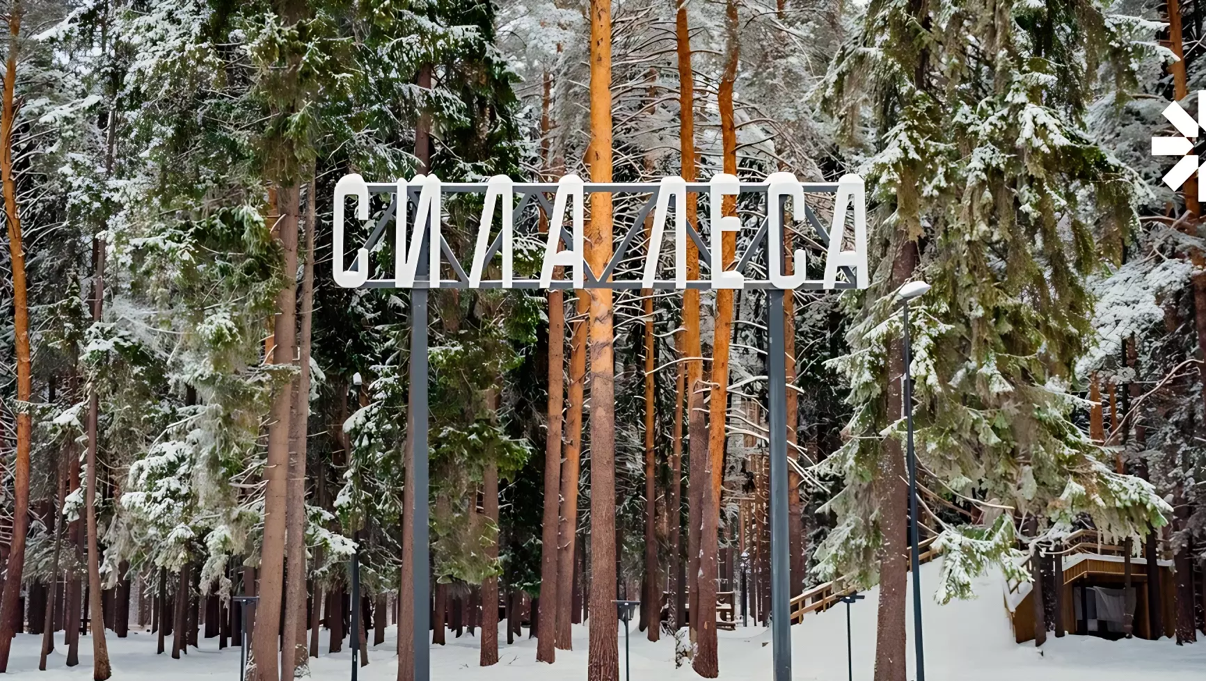 В Воткинске торжественно откроют парк «Ритм леса»
