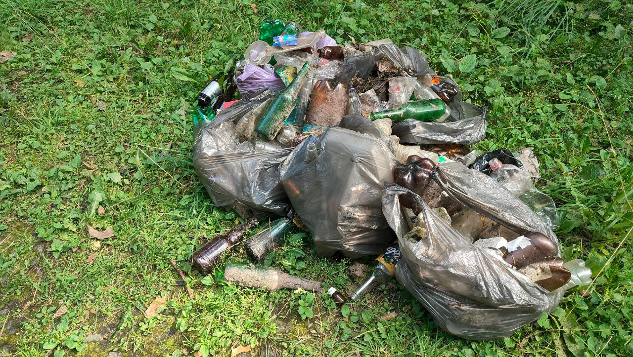 Ижевчане: лесополоса около сквера оружейника Драгунова превращается в свалку мусора