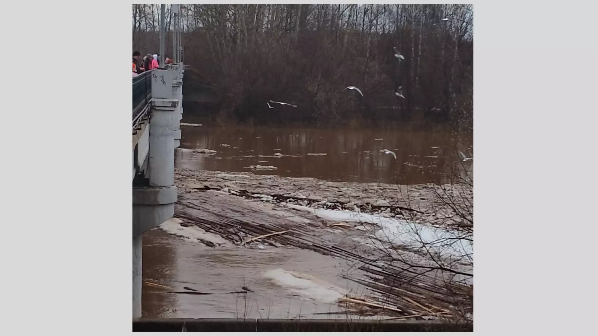В Глазове к мосту через реку Чепцу паводком прибило большой деревянный помост