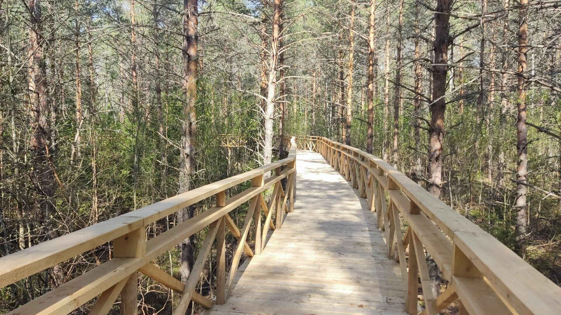 В Удмуртии в парке «Дикий» достроили мост на высоте трех метров