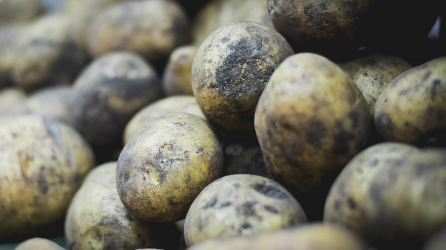 Средней зарплаты в Удмуртии хватит на покупку 10,7 центнера картошки
