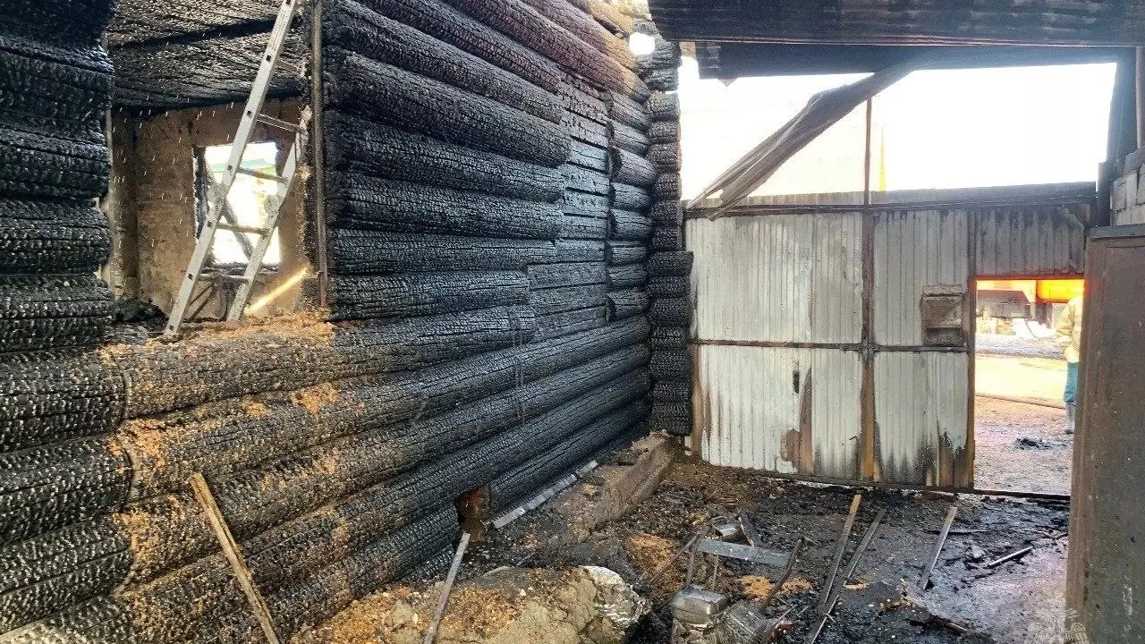 12 уток и 19 куриц погибли при пожаре в Удмуртии