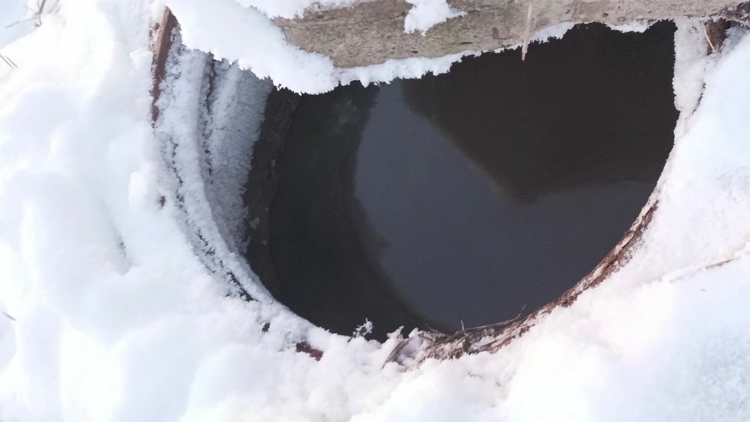 В деревне Штанигурт Глазовского района дома снова топит канализация