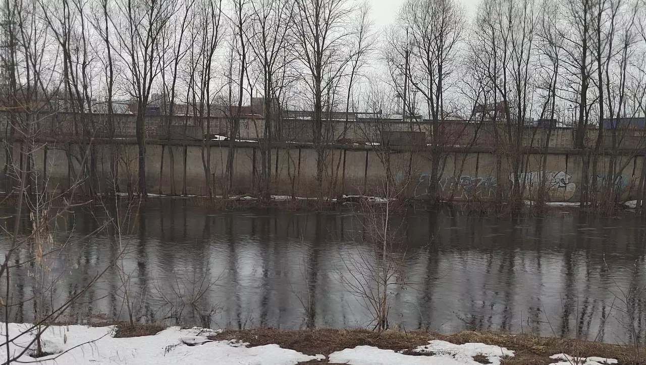 Дмитрий Чистяков: До перелива воды через дамбу на реке Иж осталось три метра