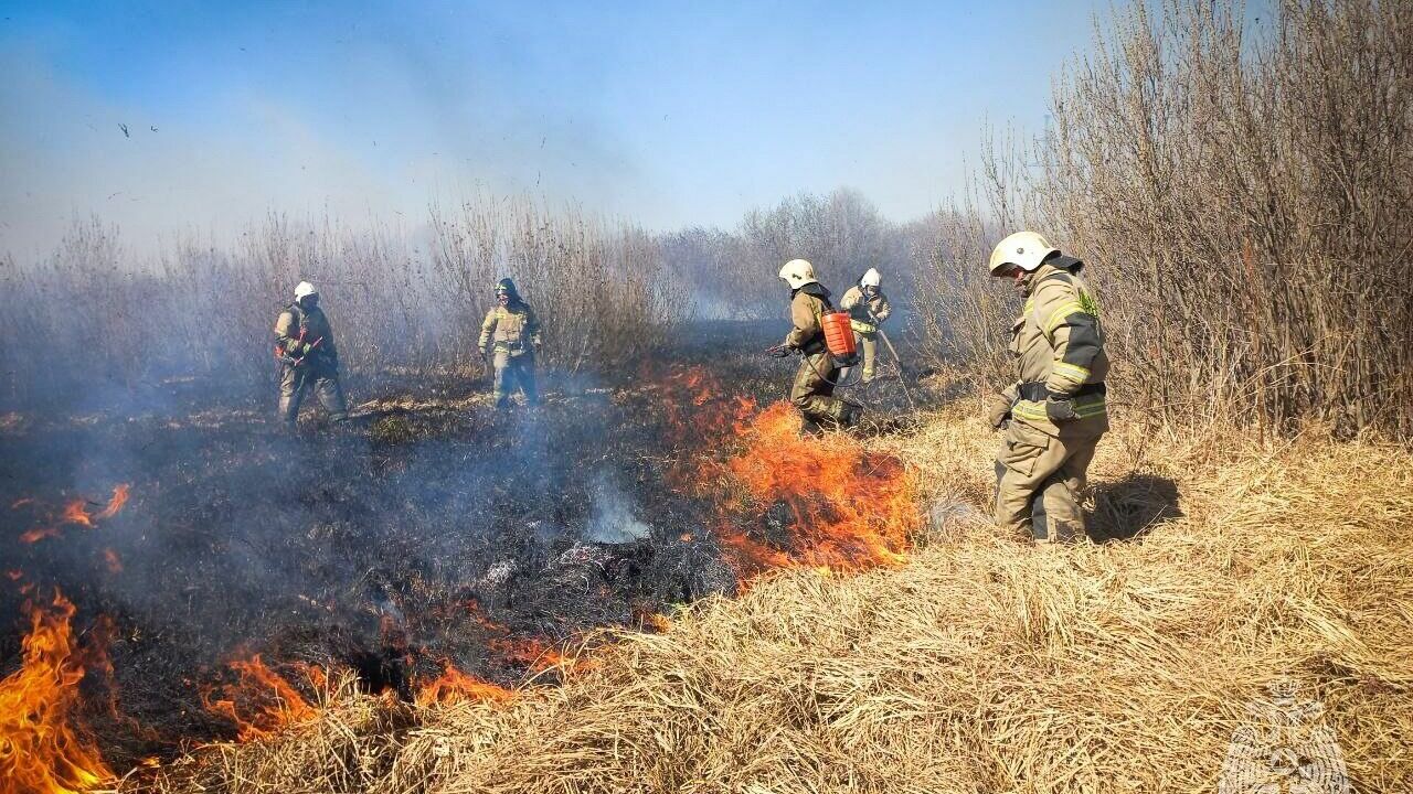 В Удмуртии между деревнями Старый и Новый Чультем пожарные борются с огнем