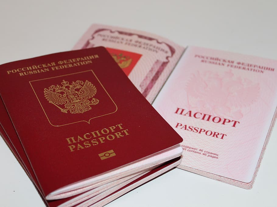 Шольц выступил против отмены выдачи шенгенских виз россиянам