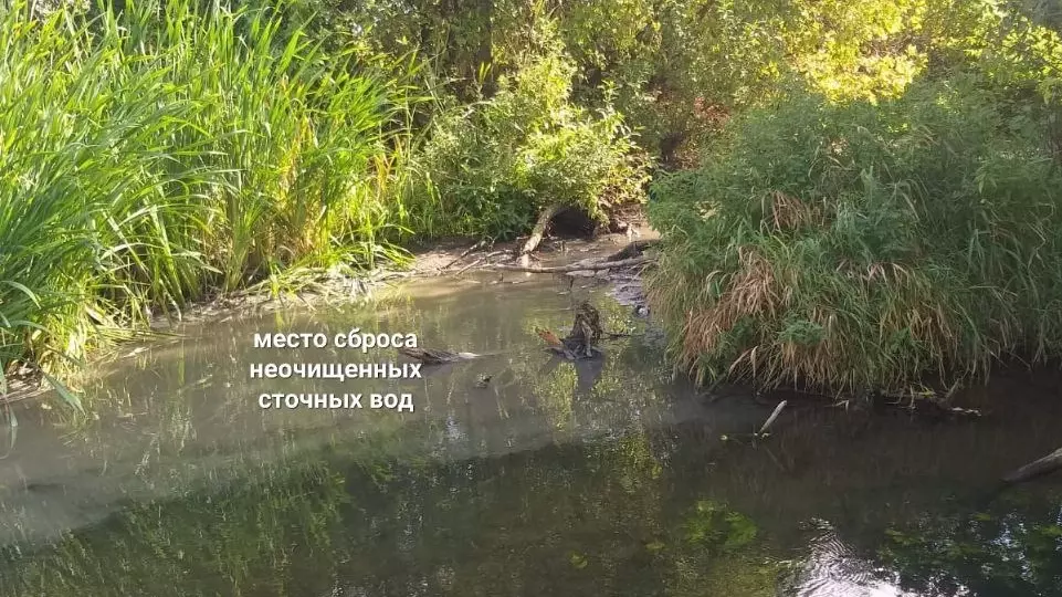 В отравлении рек Можгинского района оказалось виновным МУП ЖКХ
