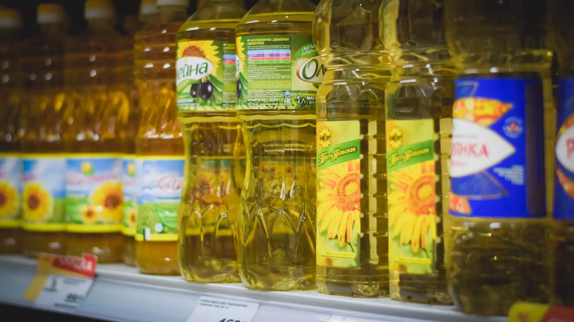Польза и вред растительного масла: как употреблять этот продукт правильно