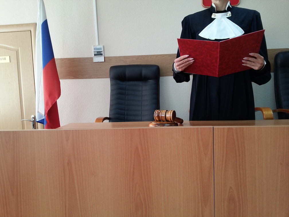 В Ижевске насильника 12-летней девочки приговорили к 13 годам лишения свободы