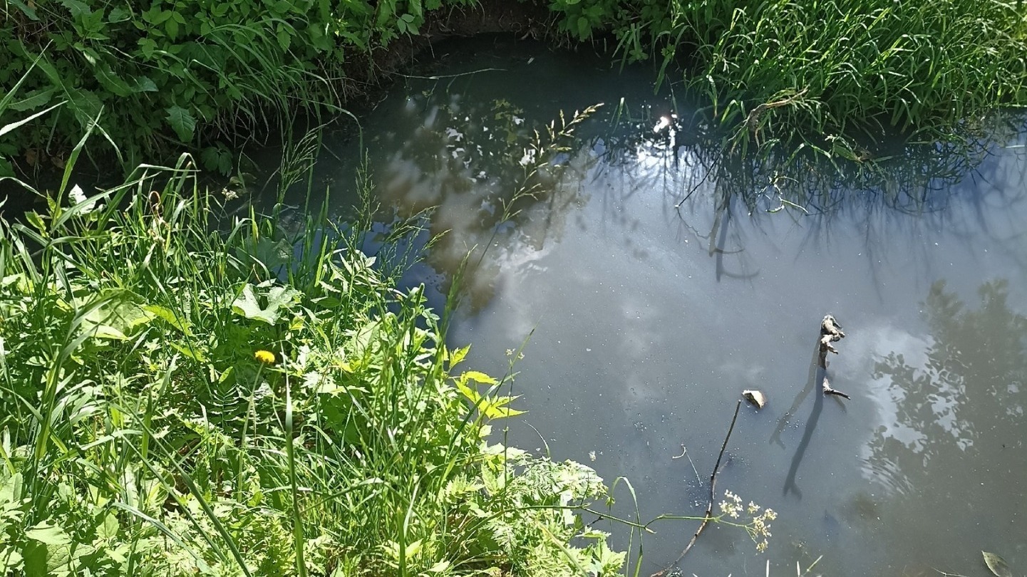 Место сброса в реку Вала зловонных отходов обнаружил читатель Udm-Info