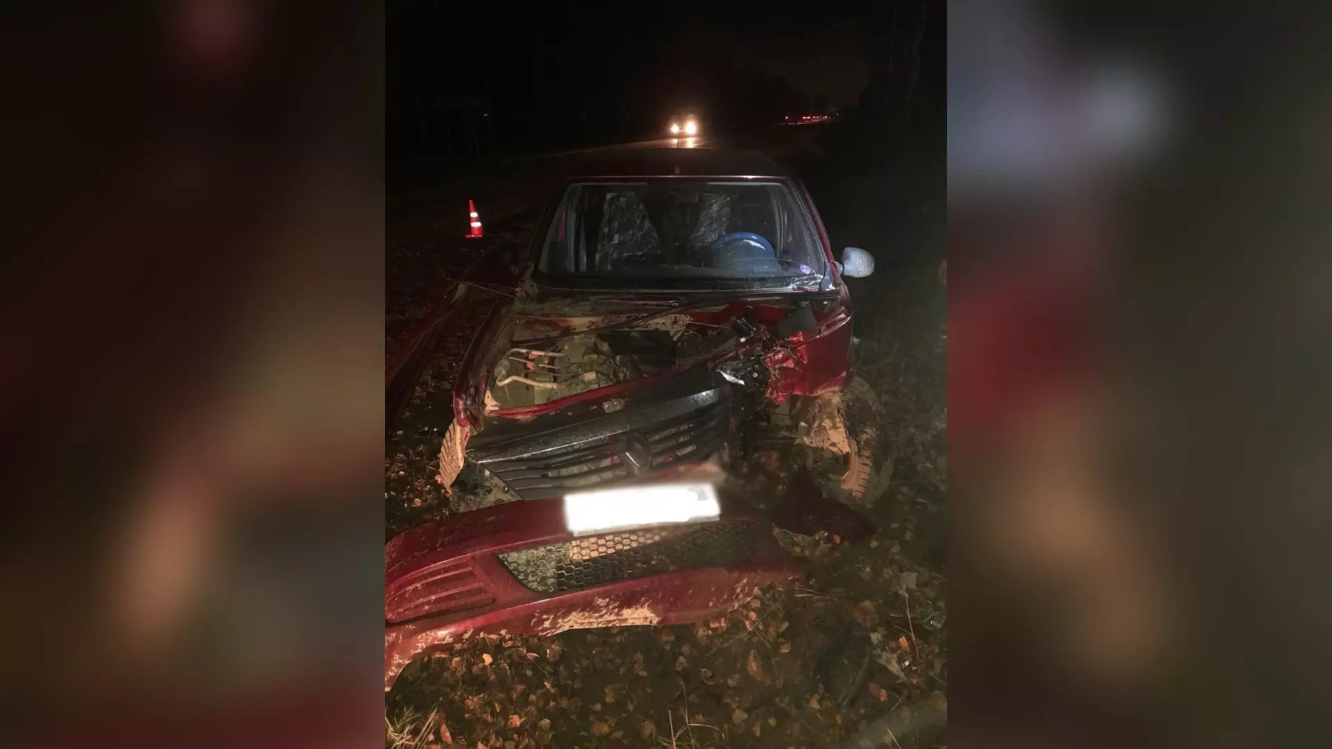 В Удмуртии при столкновении авто с деревом пострадала 14-летняя девочка