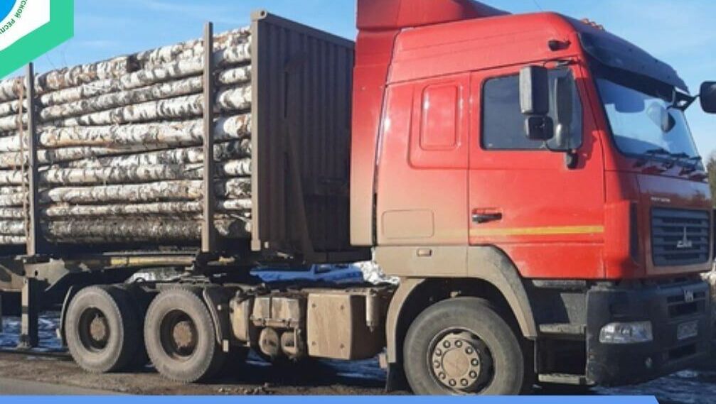 Операция «Лесовоз»: в Удмуртии усилили контроль за перевозкой лесной продукции
