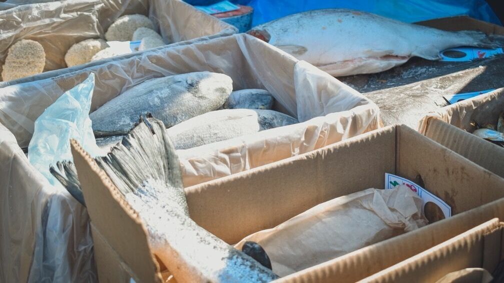 Балезинский фантом: партию морепродуктов неизвестного происхождения нашли в Удмуртии