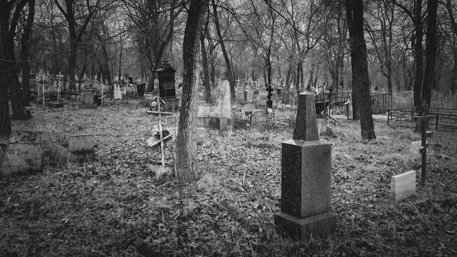 На учете не числится: что не так с кладбищем в Завьяловском районе