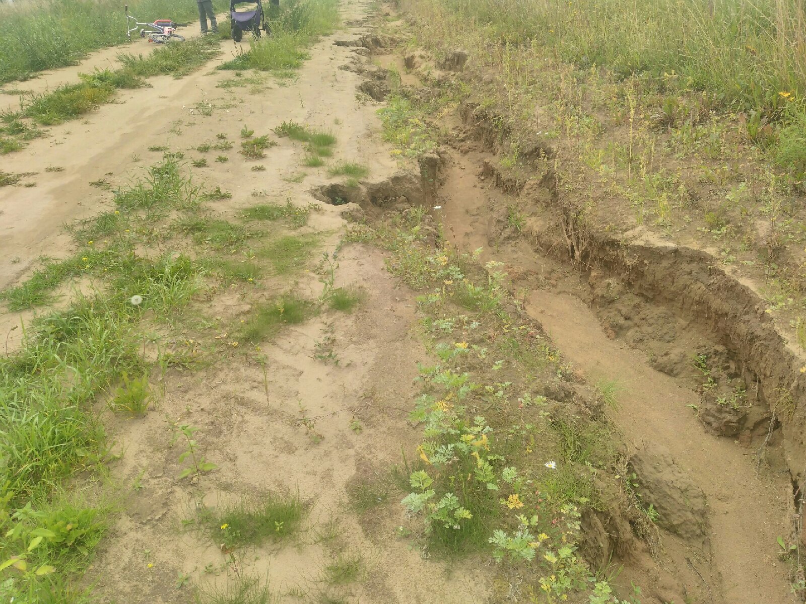 Жители села Светлое в Удмуртии просят сделать дорогу