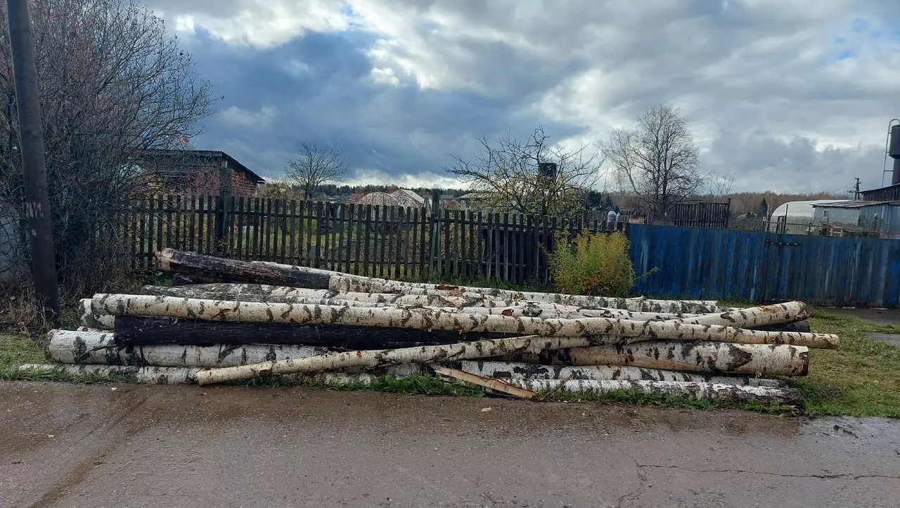 Семья участника СВО из Удмуртии год ждала помощи в виде дров