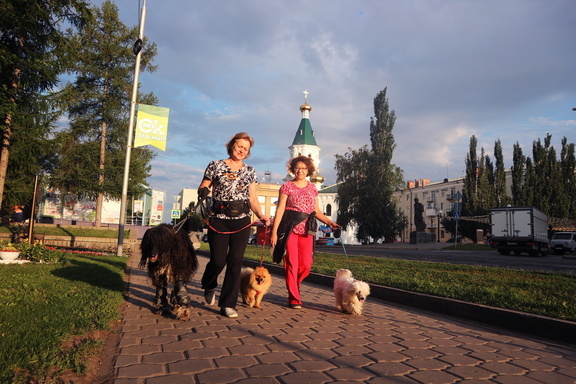 В Воткинске нет мест для выгула собак