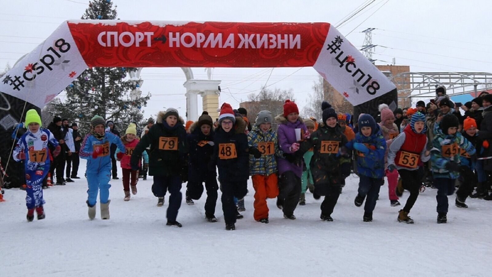 Бегом за фруктами: 250 спортсменов вышли на старт мандаринового забега в Ижевске