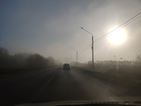 В Удмуртии прогнозируют туман 15 апреля