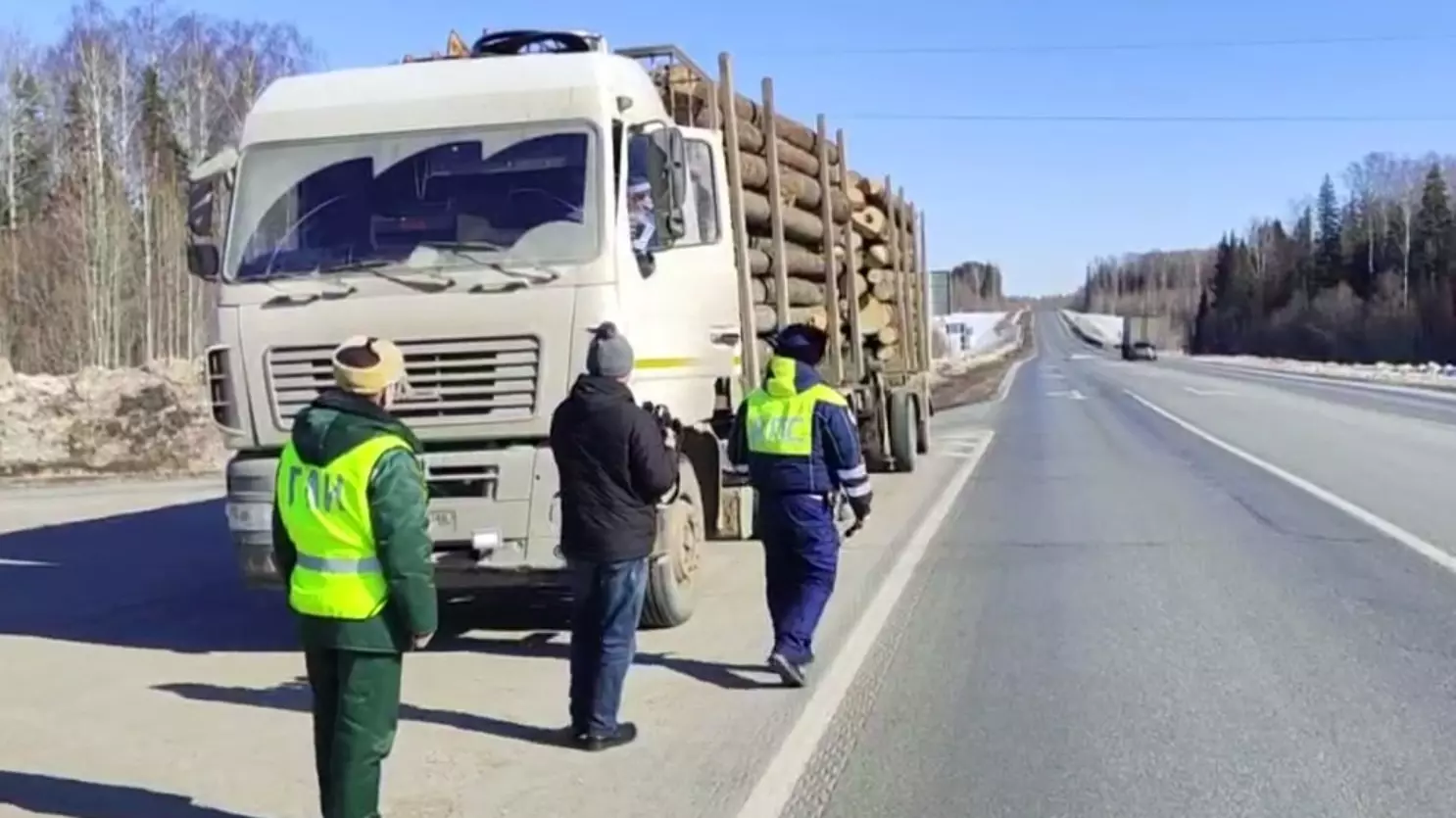 Операция «Лесовоз»: контроль за перевозкой древесины усилили в Удмуртии