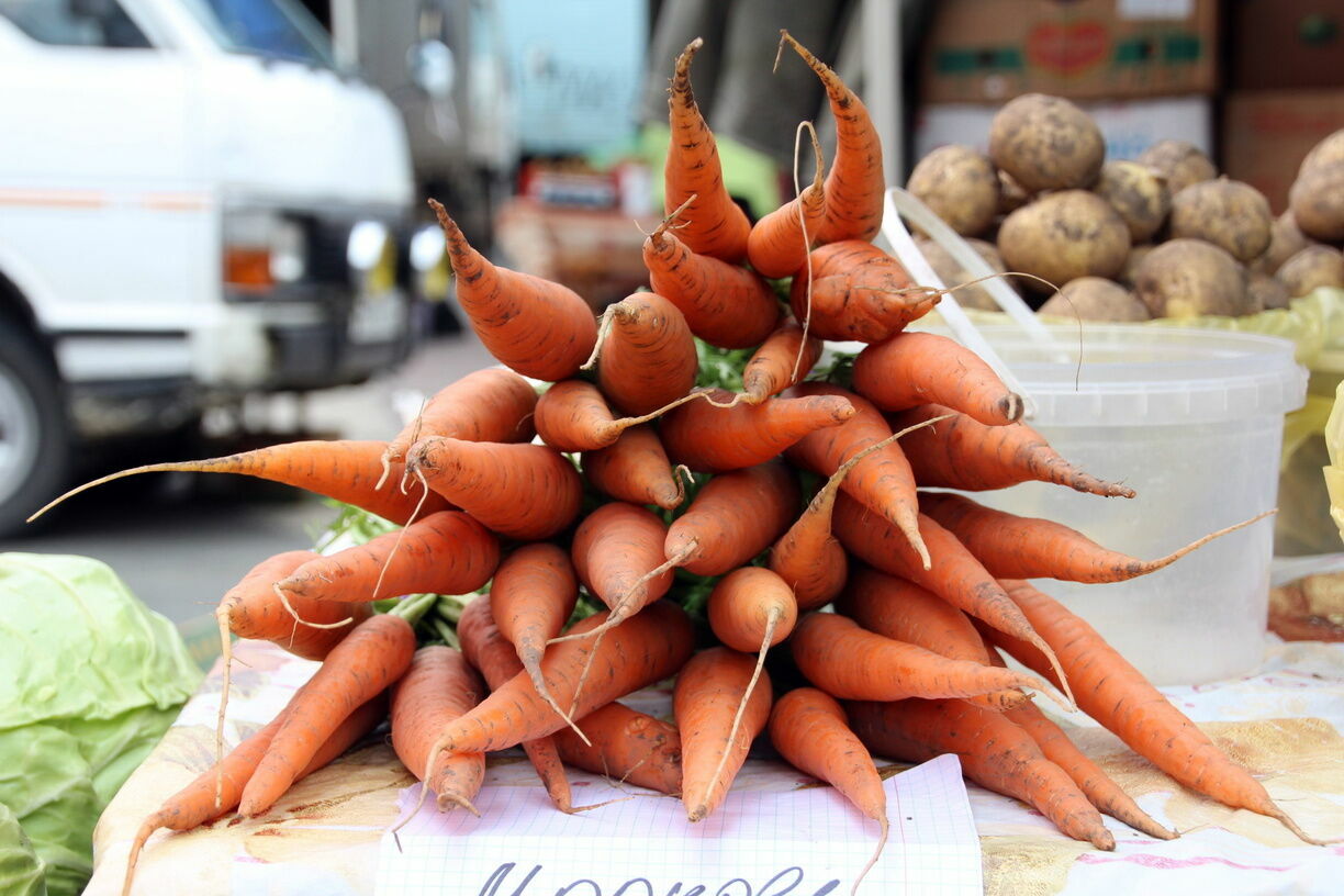 Нитраты в свекле и яйца аскарид в моркови: в Удмуртии проверили продаваемые овощи