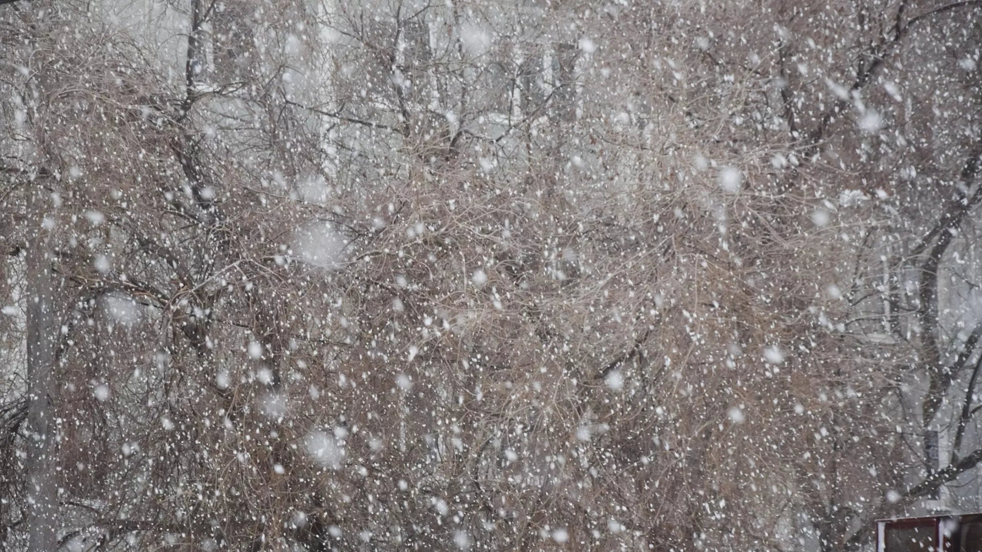 Снегопады и ноль градусов: «температурные качели» установятся в Удмуртии