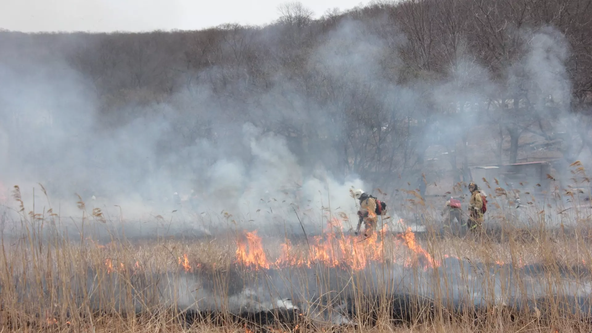 В Удмуртии произошли первые в этом году ландшафтные пожары