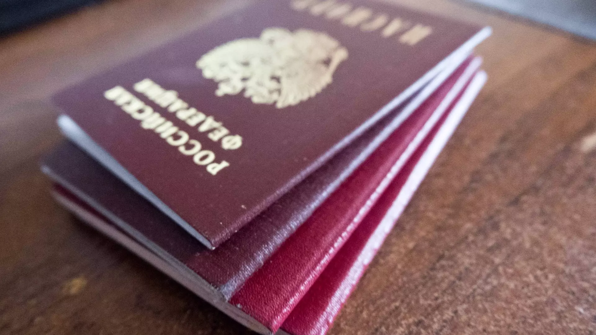 В России будет действовать цифровой паспорт