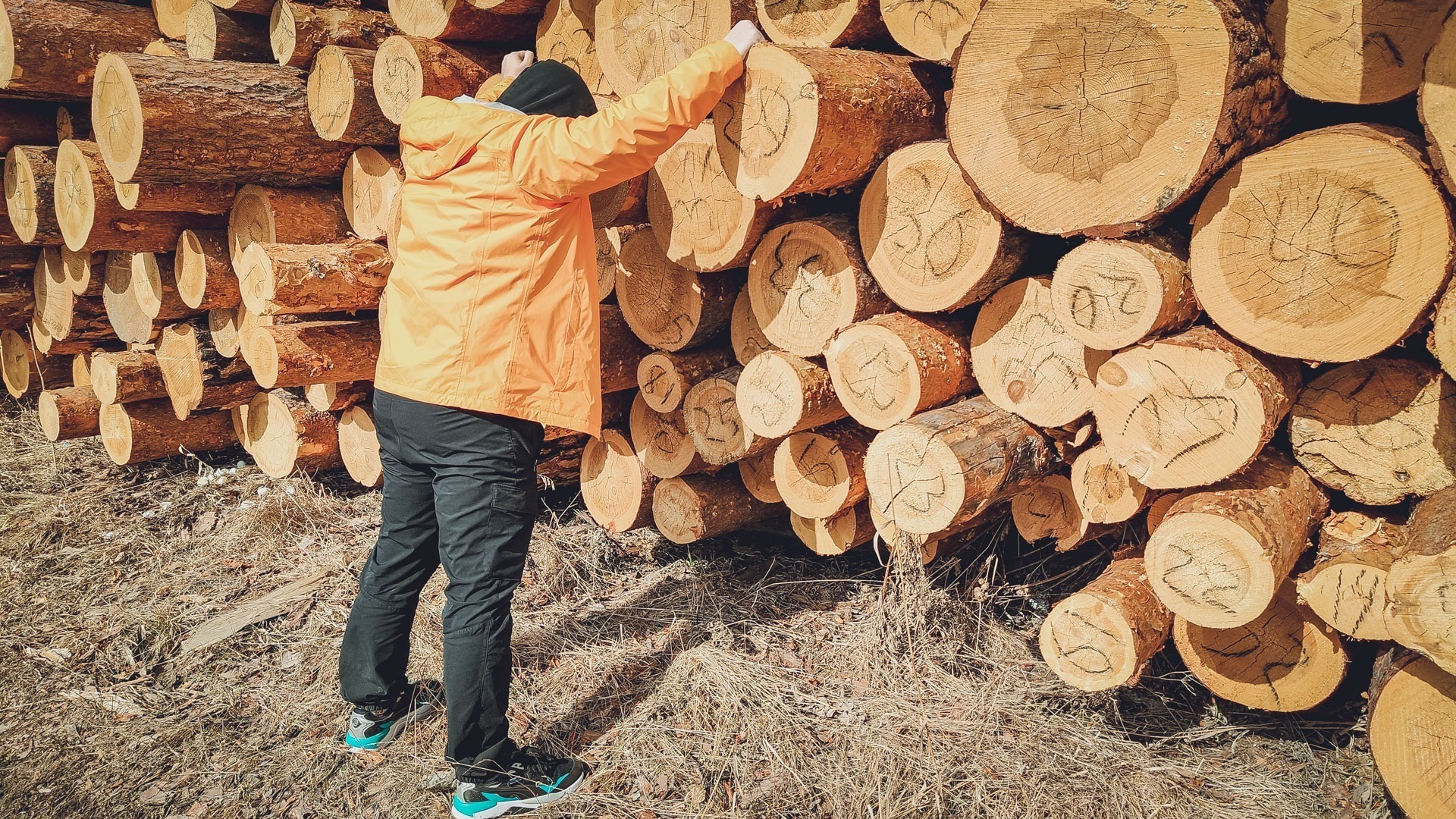 Экспорт продукции из древесины из Удмуртии в Турцию значительно вырос