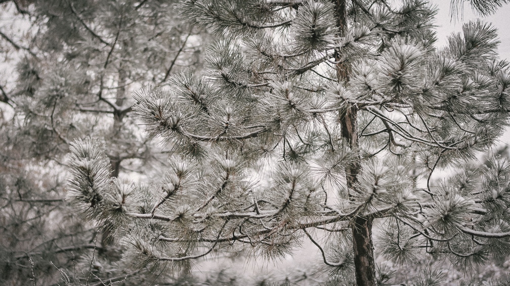 Мокрый снег с дождем ожидается 13 февраля в Удмуртии