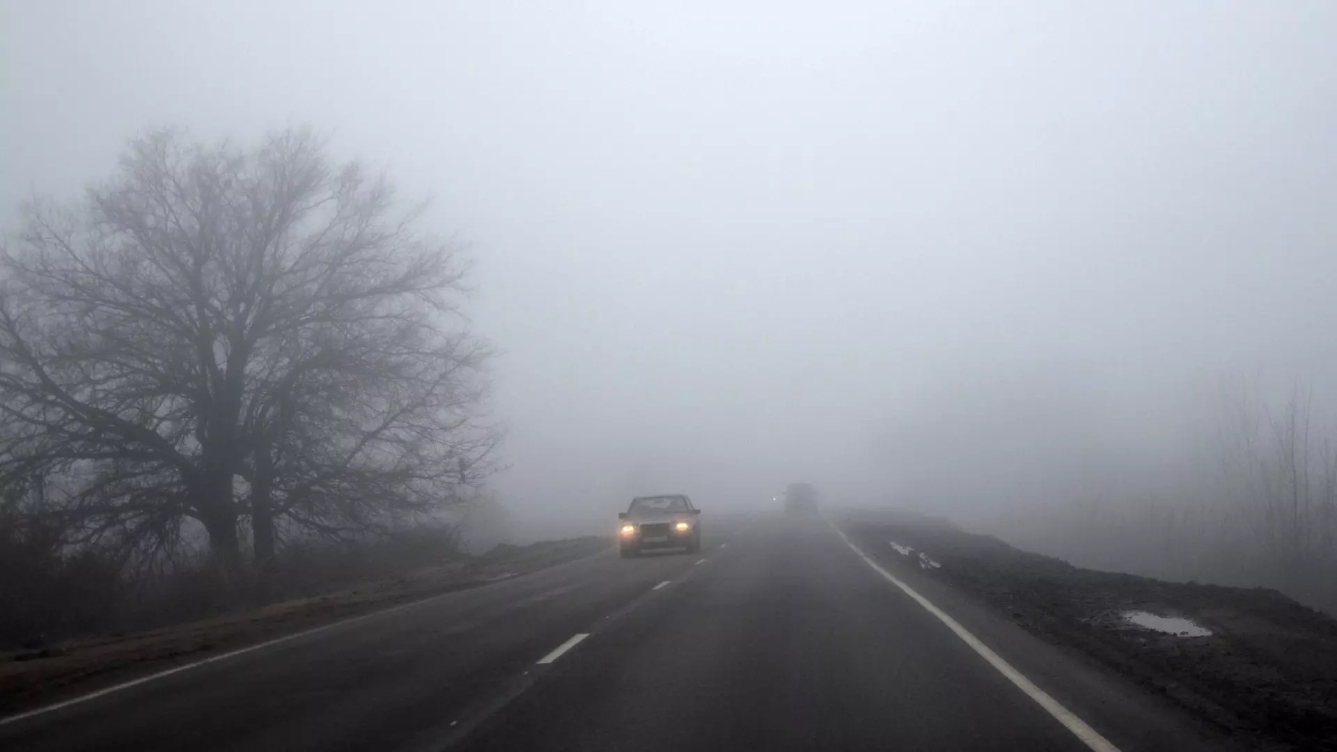 Ночью и утром 30 ноября в Удмуртии ожидается туман