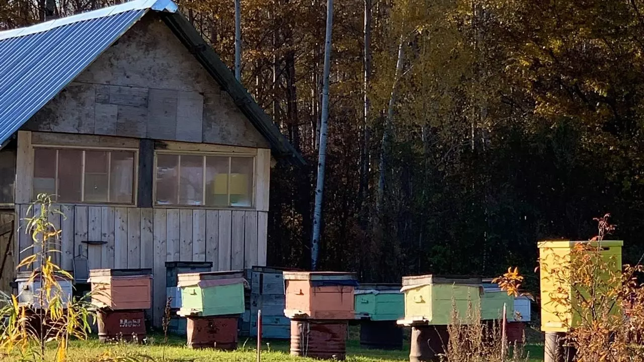 Женщину в Удмуртии предупредили об ответственности за неправильных пчел