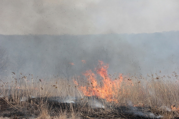 Пожароопасный сезон в лесах Удмуртии объявят с 20 апреля