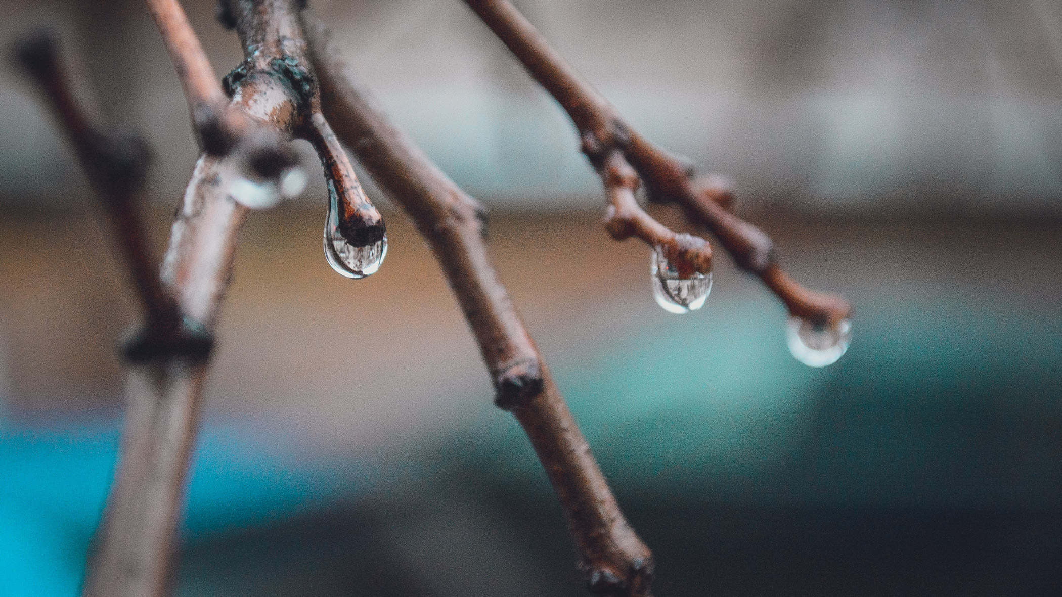 Дожди, похолодание и заморозки прогнозируют в Удмуртии на неделе