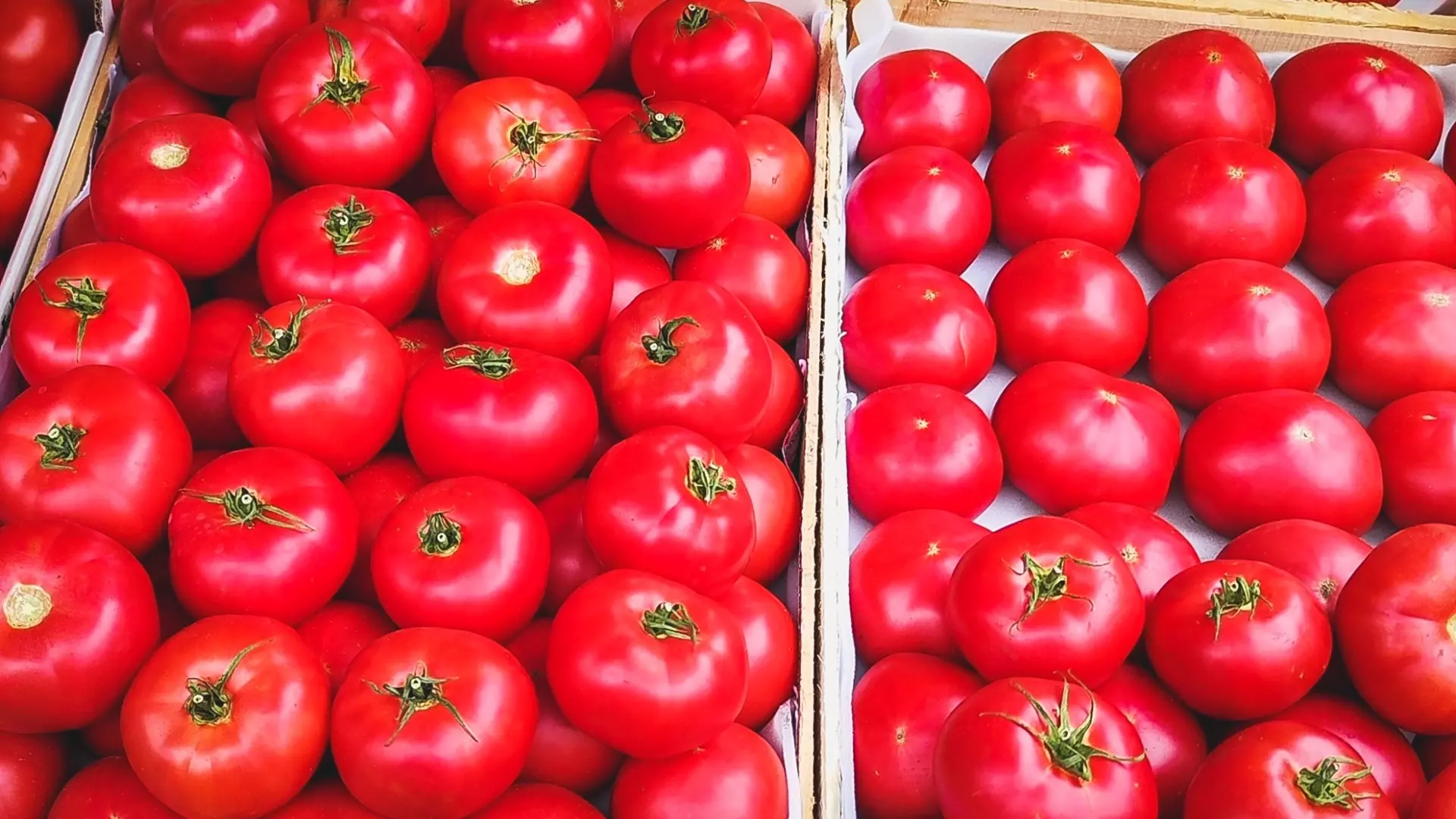 Удмуртии за неделю выросли цены на помидоры и колбасу