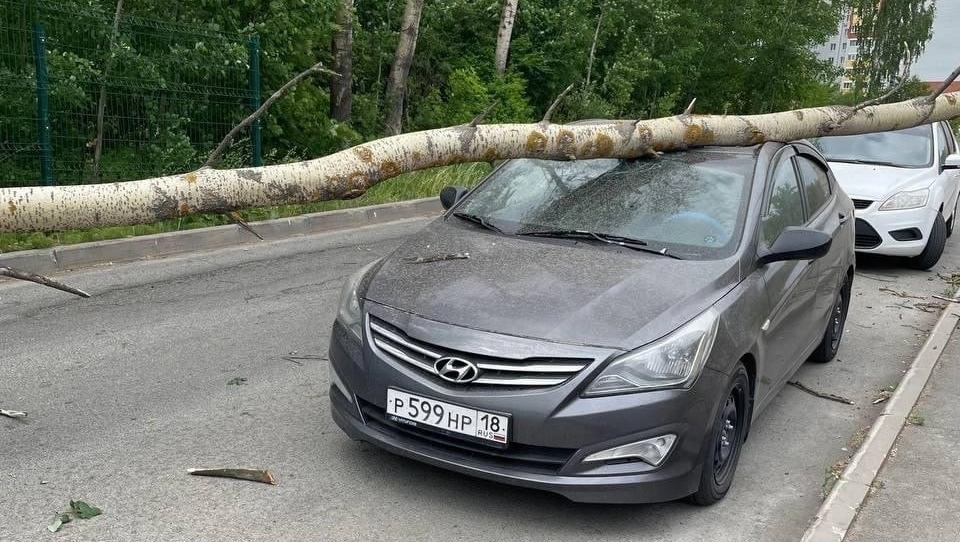 В Ижевске от сильного ветра деревья упали на автомобиль и пешеходный переход