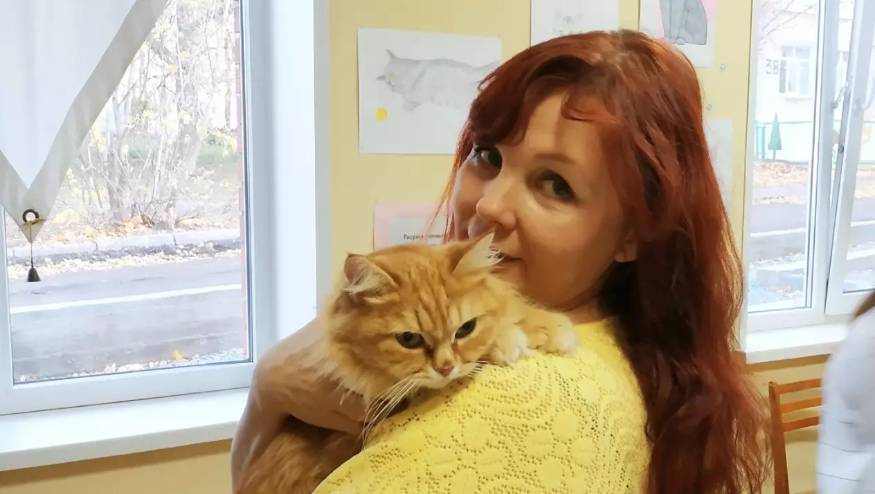 Семь кошек обрели дом благодаря марафону «Котариум» в Ижевске