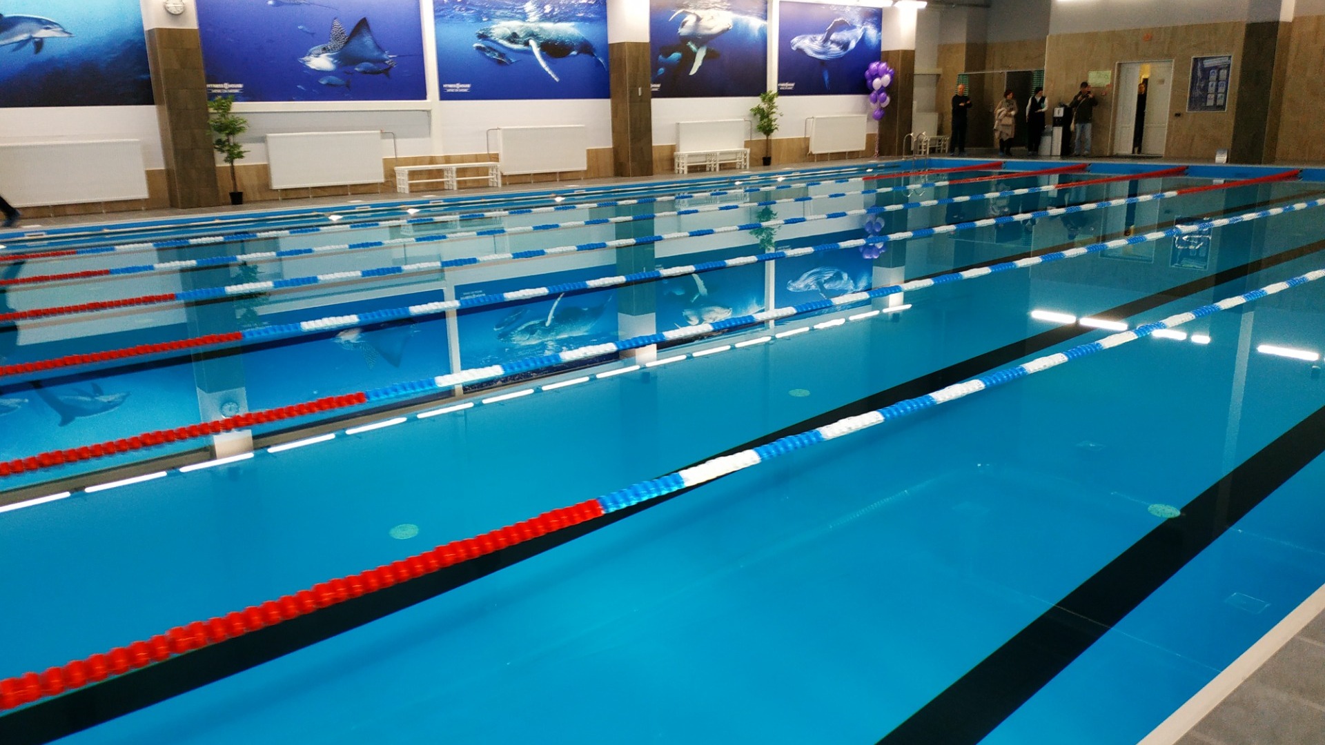 Жители Можги просят построить для спортсменов новый бассейн