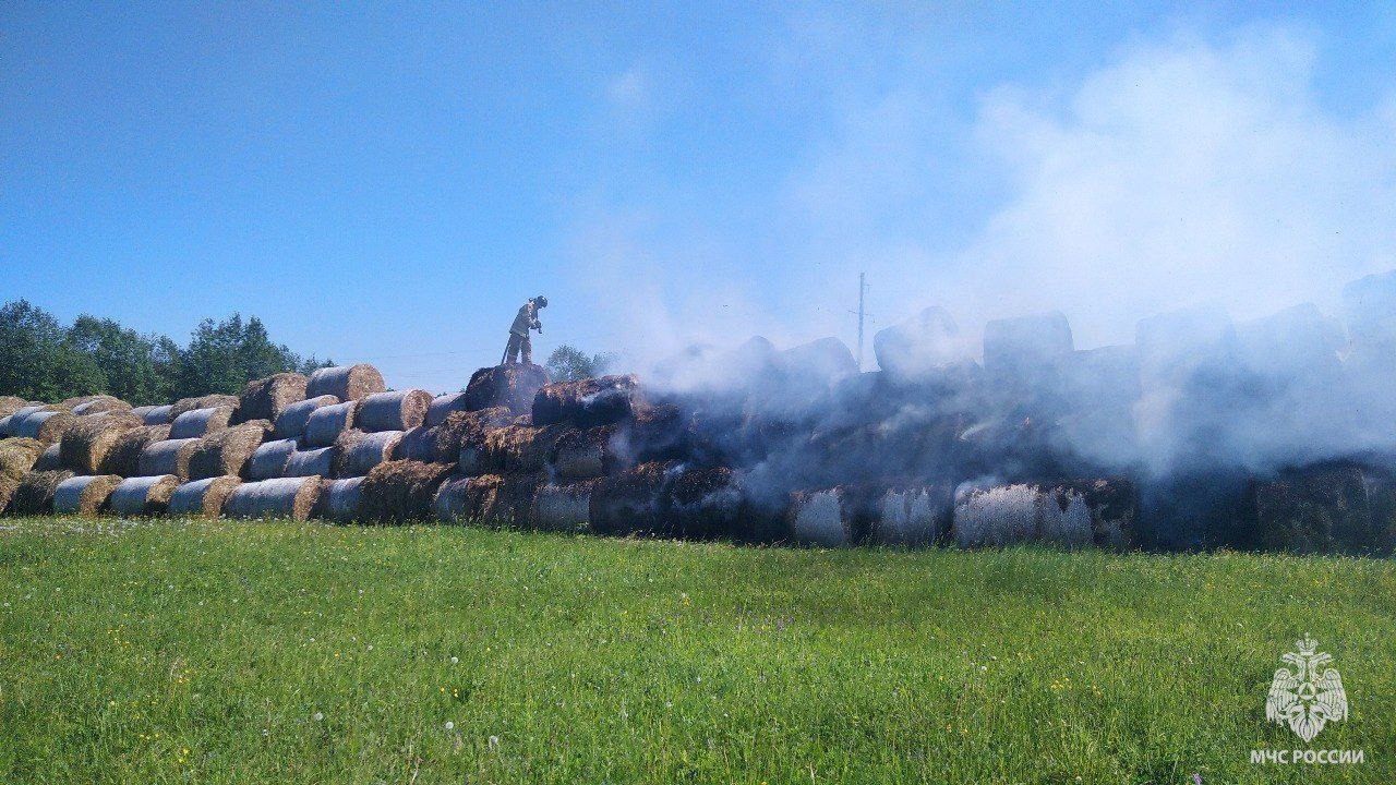 В Удмуртии неизвестные спалили 200 рулонов соломы