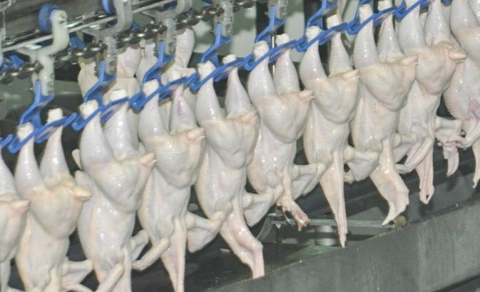 Тушки цыплят-бройлеров с истекшим сроком годности продавали в Удмуртии