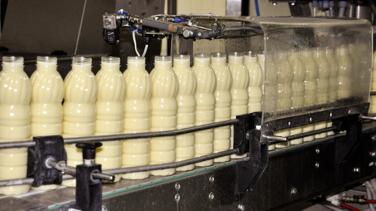 Фантомное производство «молочки» обнаружили в Малопургинском районе Удмуртии