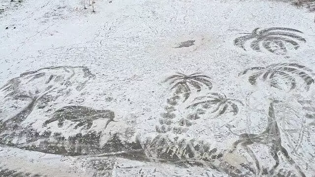 Художник рисует на снегу