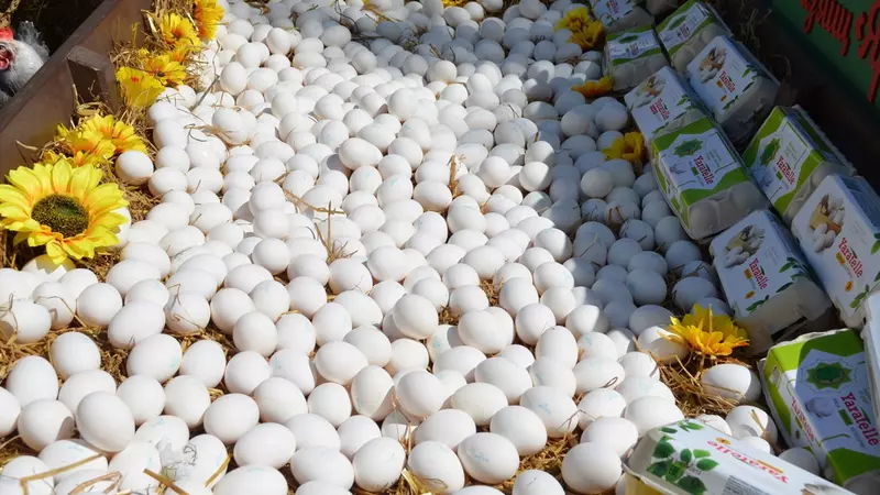 Готовимся к Пасхе: где в Ижевске купить дешевле куриные яйца